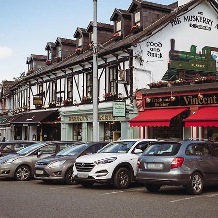 Muskerry Arms Bar And B&B Blarney Exterior photo